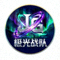 极光战队Logo圆形图标